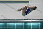 Swimming & Diving vs RWU  Swimming & Diving vs Roger Williams University. - Photo by Keith Nordstrom : Wheaton, Swimming